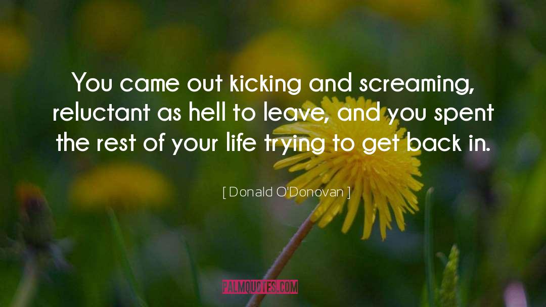 Beauty In Life quotes by Donald O'Donovan