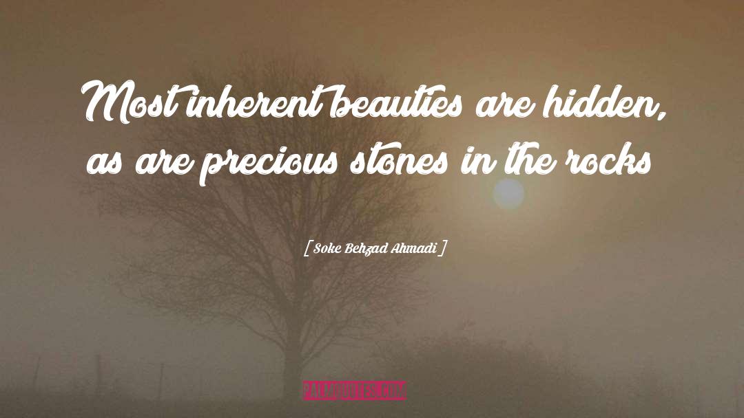Beauty In Life quotes by Soke Behzad Ahmadi