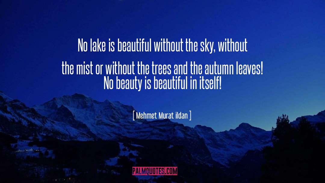 Beauty In Literature quotes by Mehmet Murat Ildan