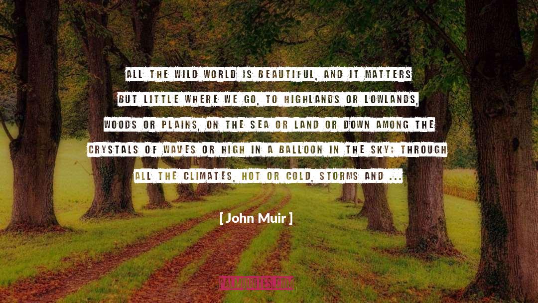 Beauty In Literature quotes by John Muir