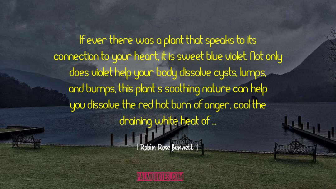Beauty In Mind And Body quotes by Robin Rose Bennett