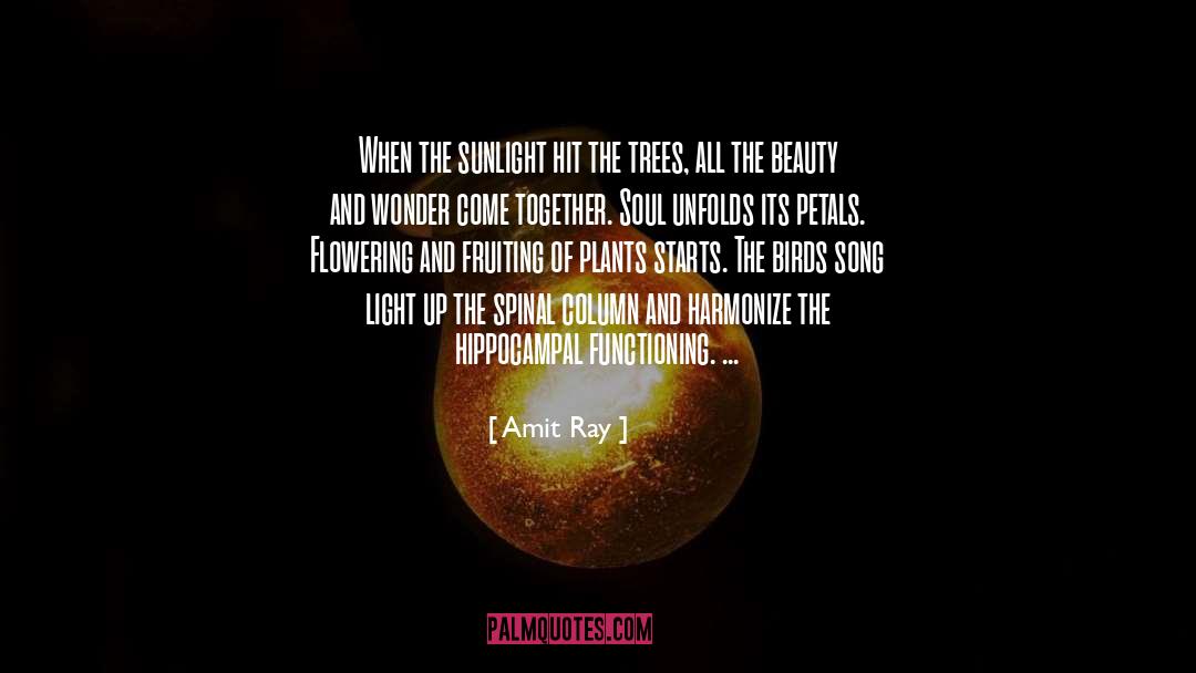 Beauty In Nature quotes by Amit Ray