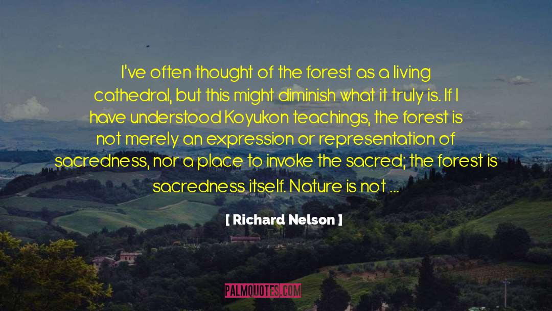 Beauty In Nature quotes by Richard Nelson