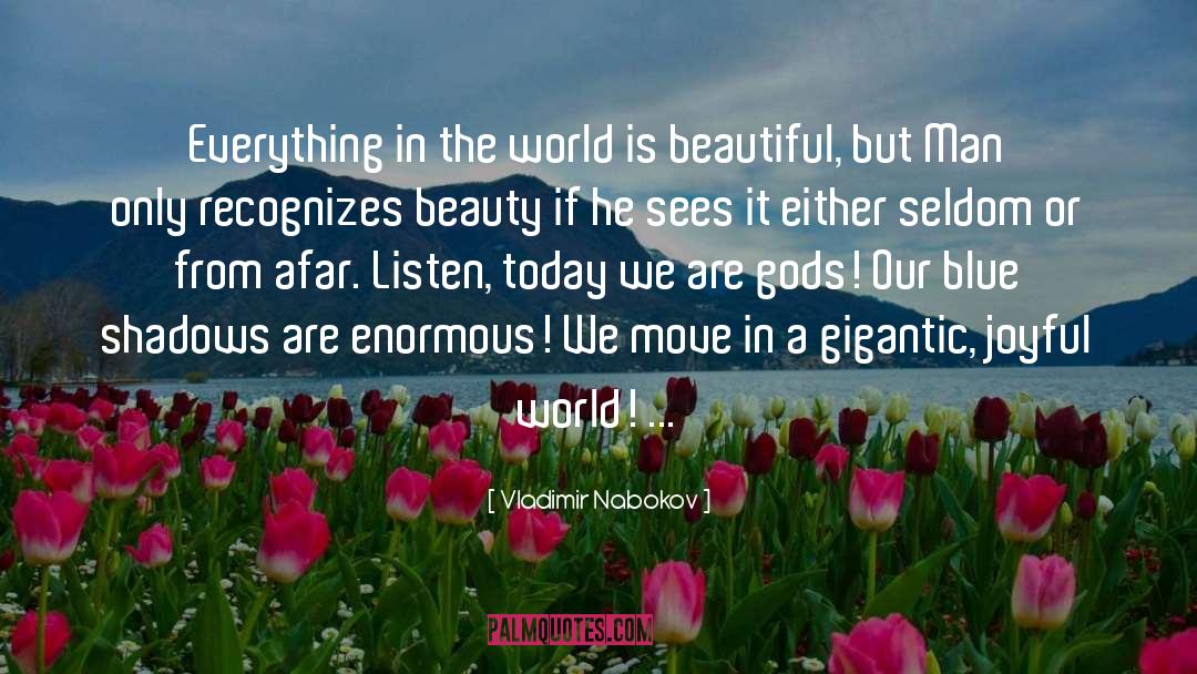 Beauty In Others quotes by Vladimir Nabokov