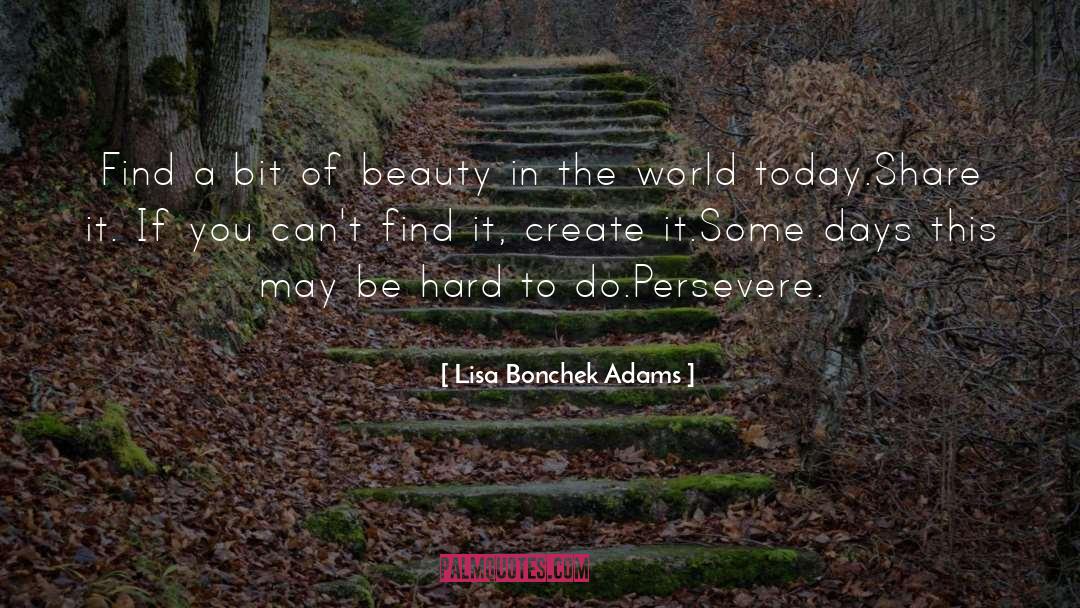 Beauty In The World quotes by Lisa Bonchek Adams