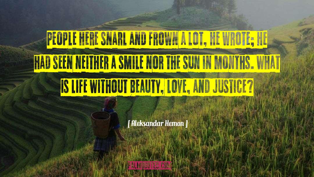 Beauty Love quotes by Aleksandar Hemon