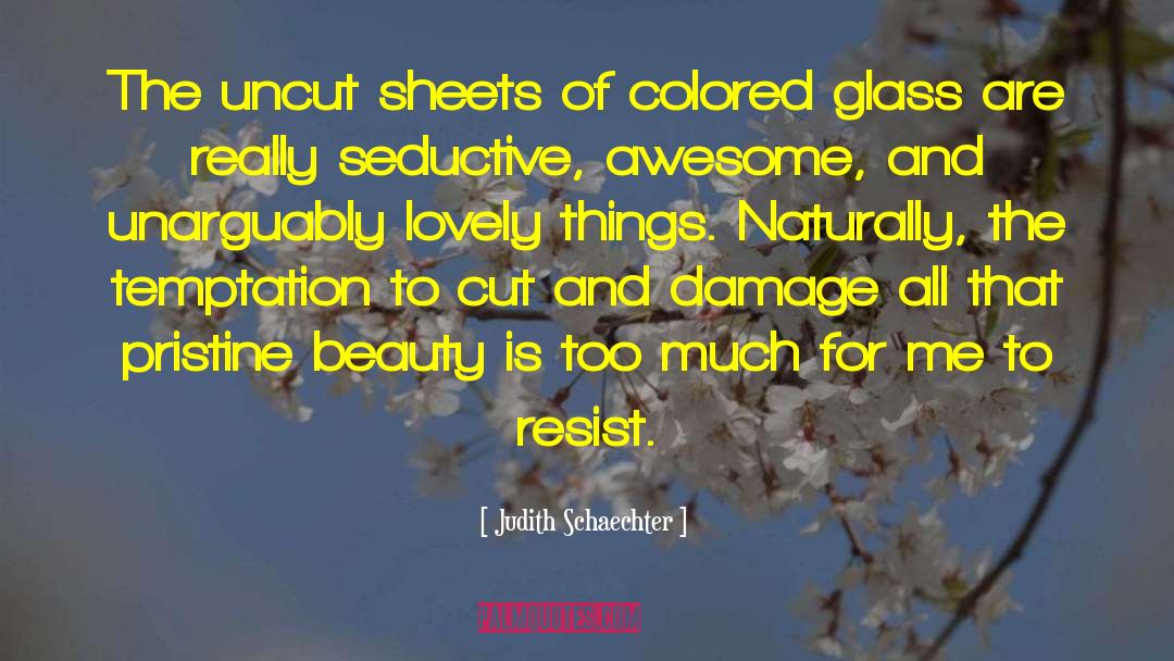 Beauty Makeup quotes by Judith Schaechter