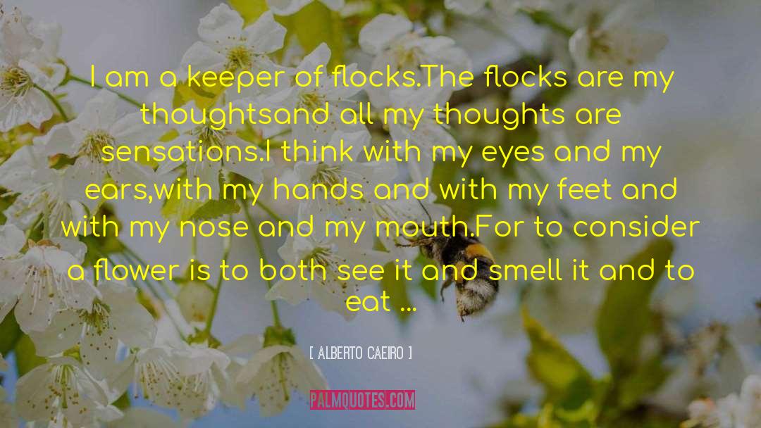 Beauty Of A Flower quotes by Alberto Caeiro