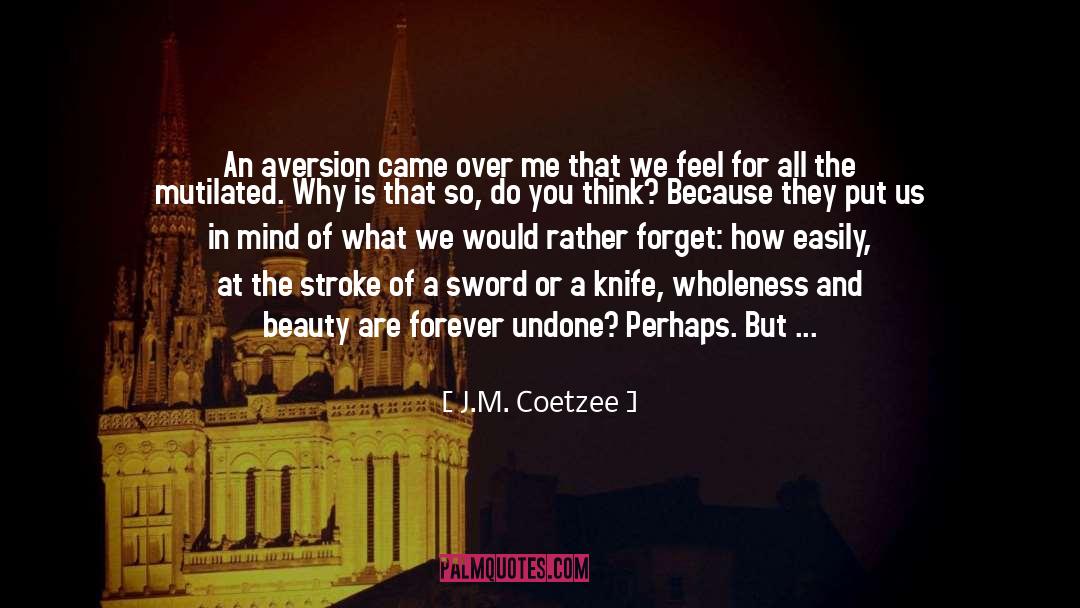 Beauty Of Darkness quotes by J.M. Coetzee