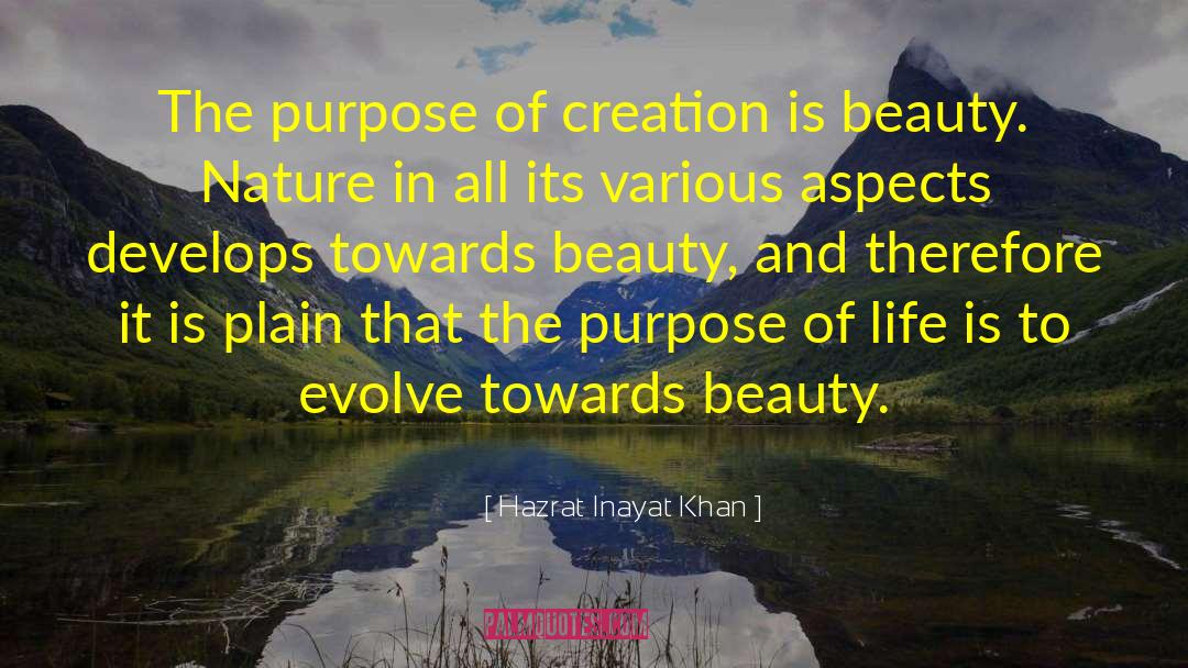 Beauty Of Darkness quotes by Hazrat Inayat Khan