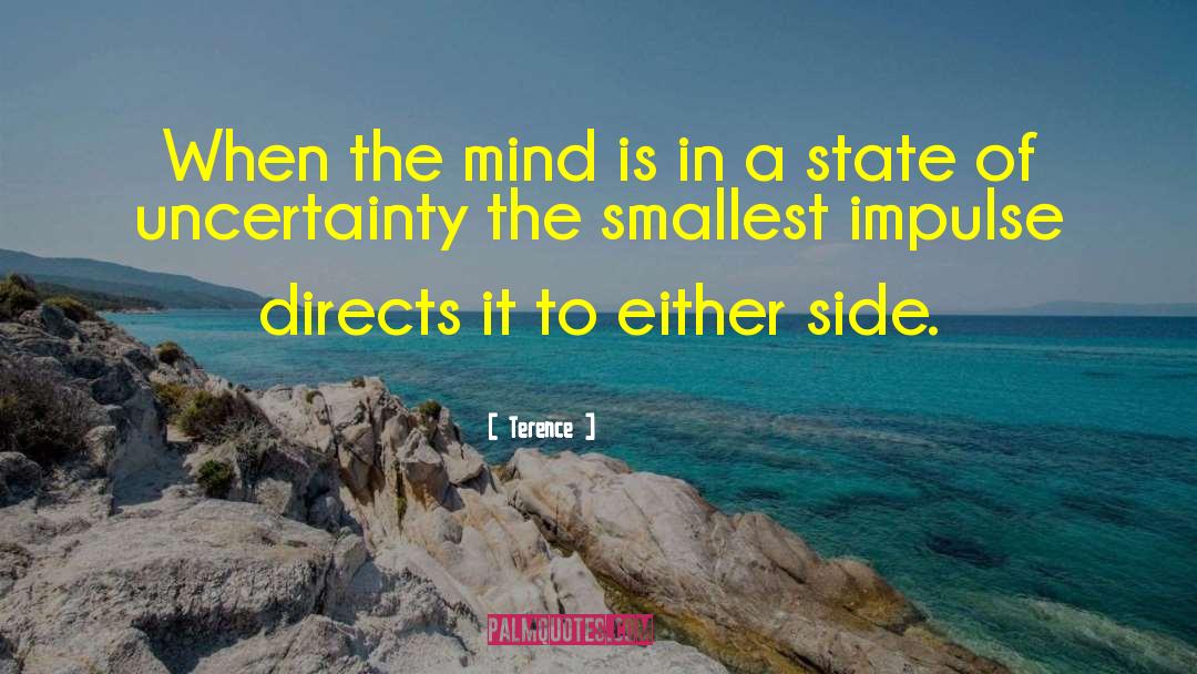 Beauty Of Mind quotes by Terence