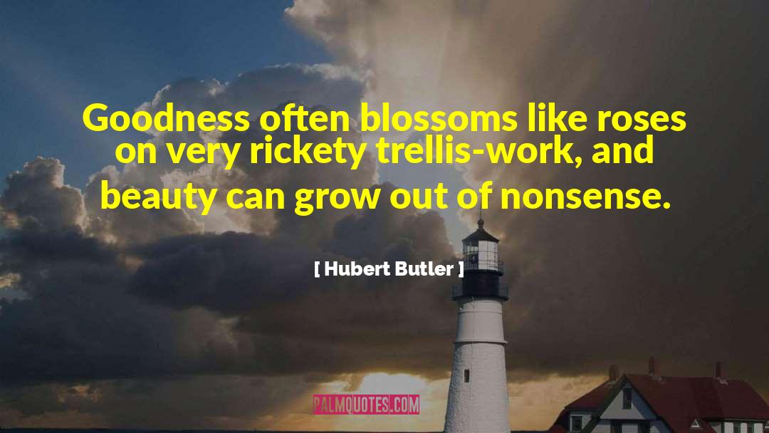 Beauty Of Nature quotes by Hubert Butler