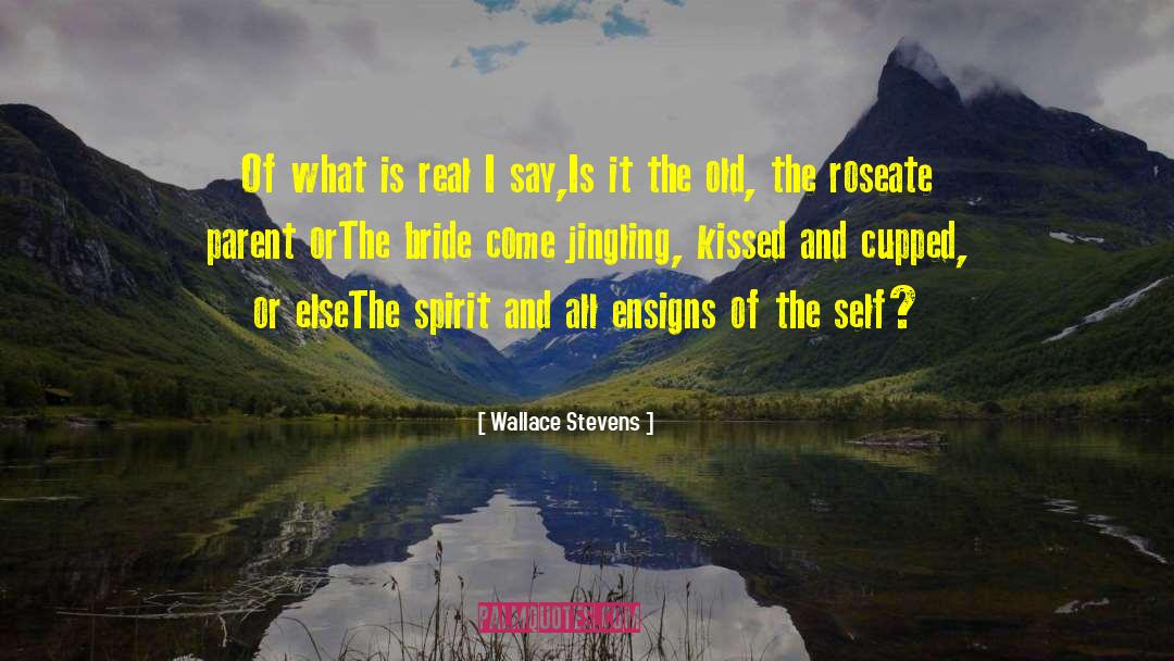 Beauty Of Spirit quotes by Wallace Stevens