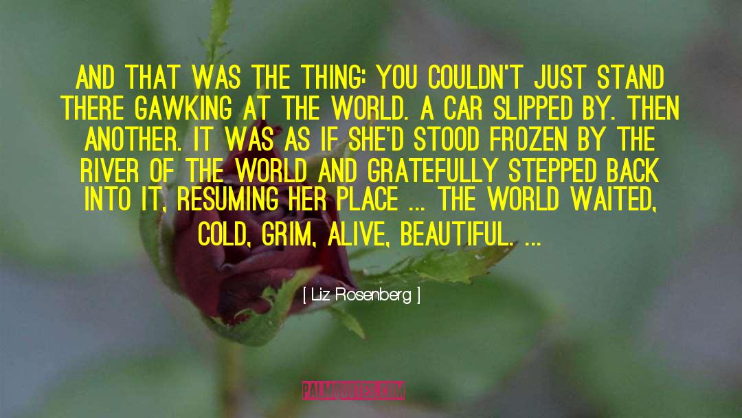 Beauty Of The Books quotes by Liz Rosenberg
