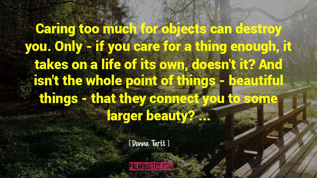Beauty Of The Cross quotes by Donna Tartt