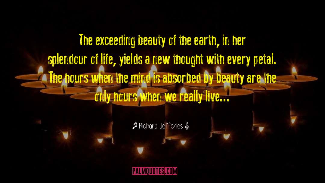 Beauty Of The Earth quotes by Richard Jefferies