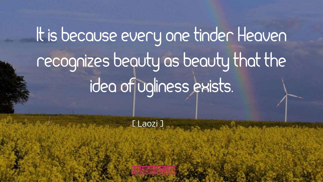 Beauty Of The Stars quotes by Laozi