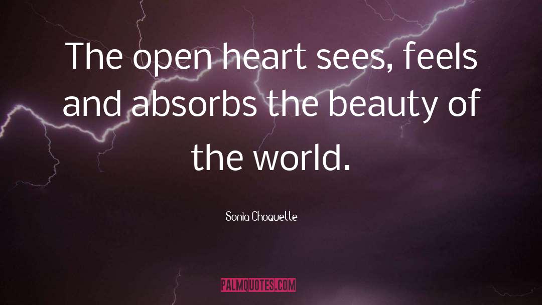 Beauty Of The World quotes by Sonia Choquette