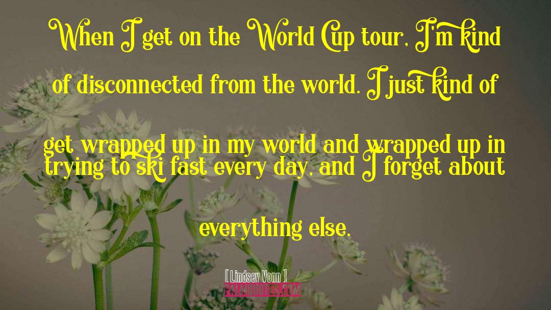 Beauty Of The World quotes by Lindsey Vonn