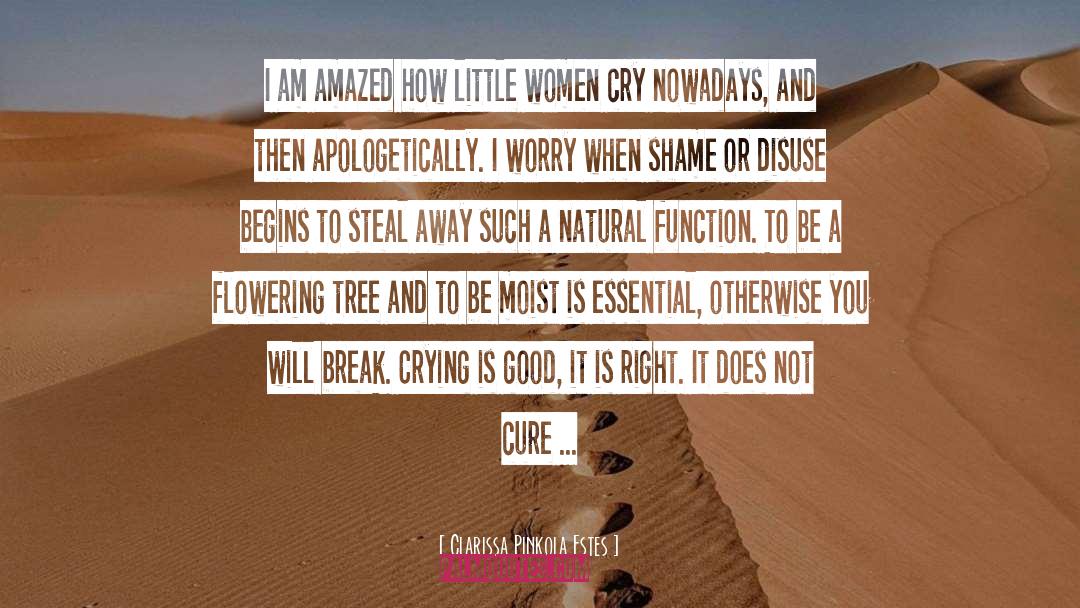 Beauty Of Women quotes by Clarissa Pinkola Estes