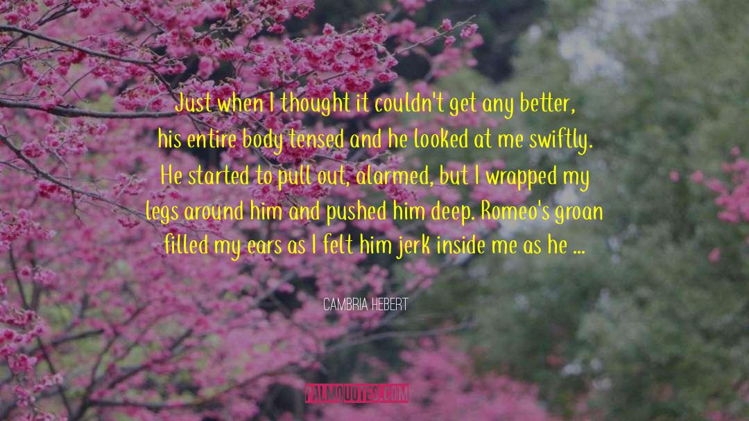 Beauty On The Inside quotes by Cambria Hebert