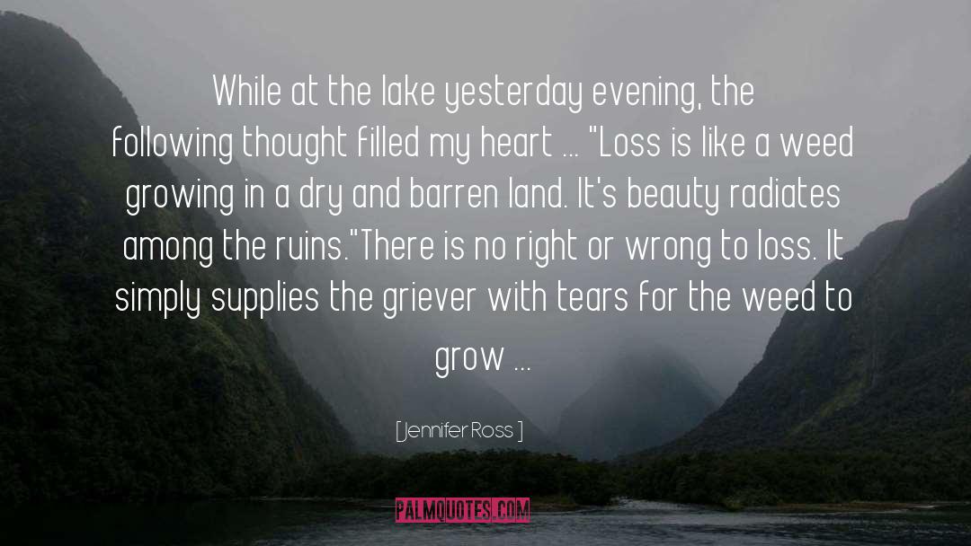 Beauty Pageant quotes by Jennifer Ross
