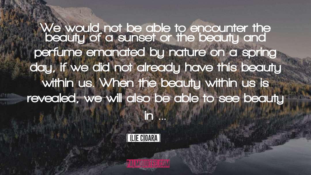 Beauty Pageant quotes by Ilie Cioara