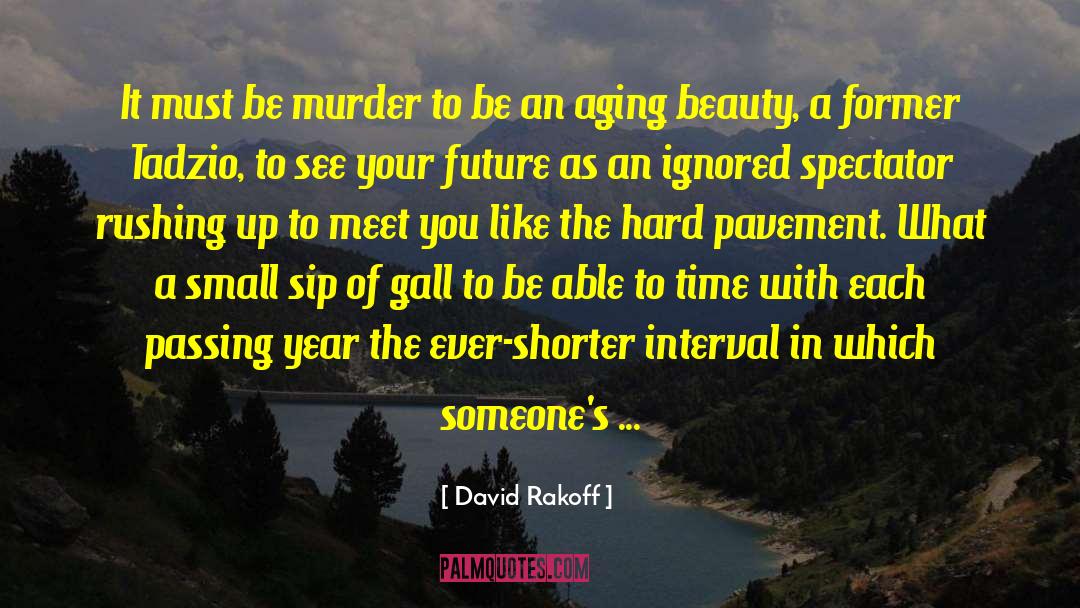 Beauty Parlors quotes by David Rakoff