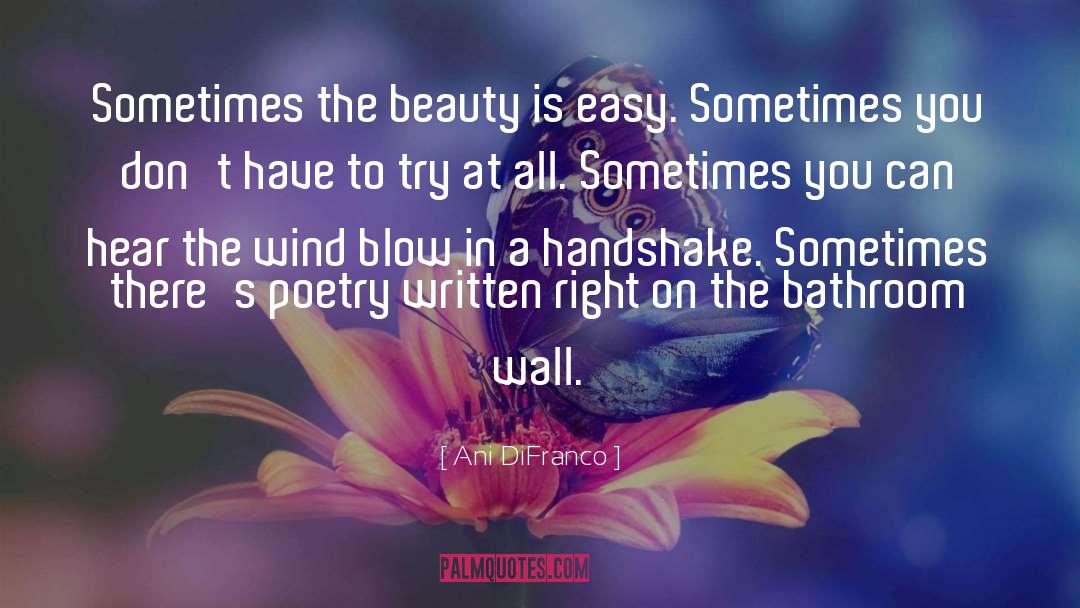 Beauty Poetry quotes by Ani DiFranco