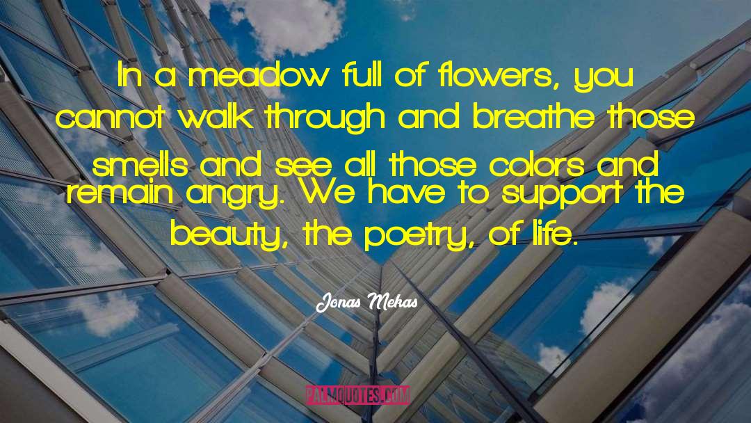 Beauty Poetry quotes by Jonas Mekas