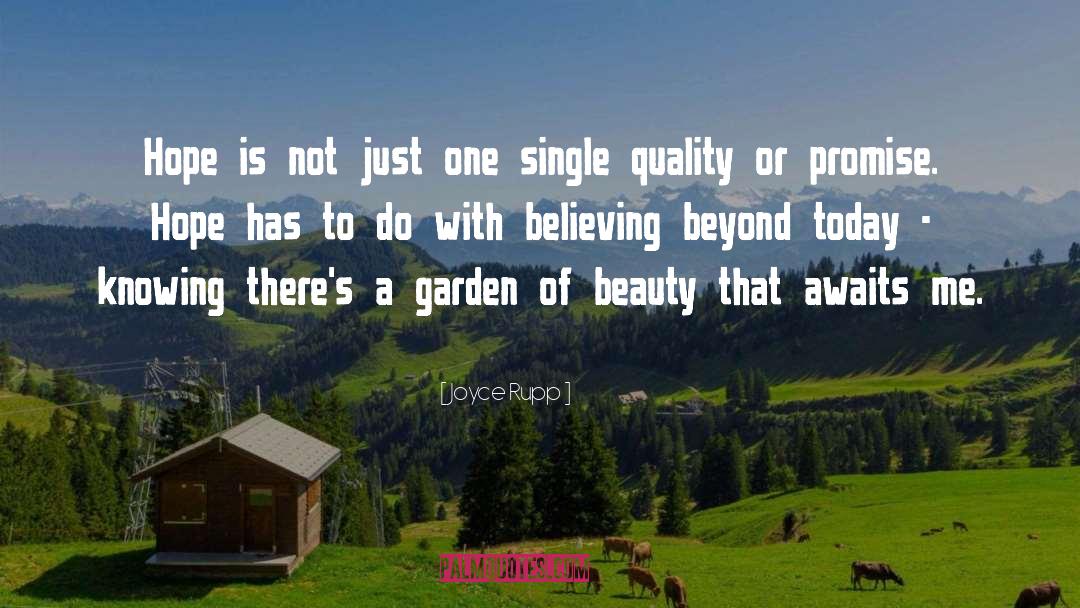 Beauty Quality Beholder Value quotes by Joyce Rupp