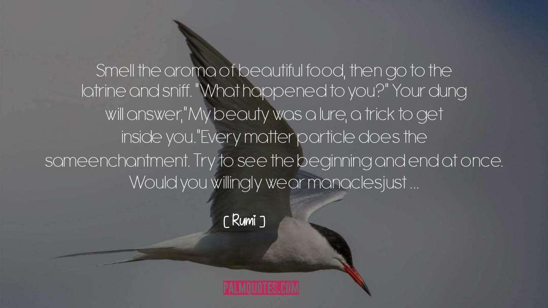 Beauty quotes by Rumi