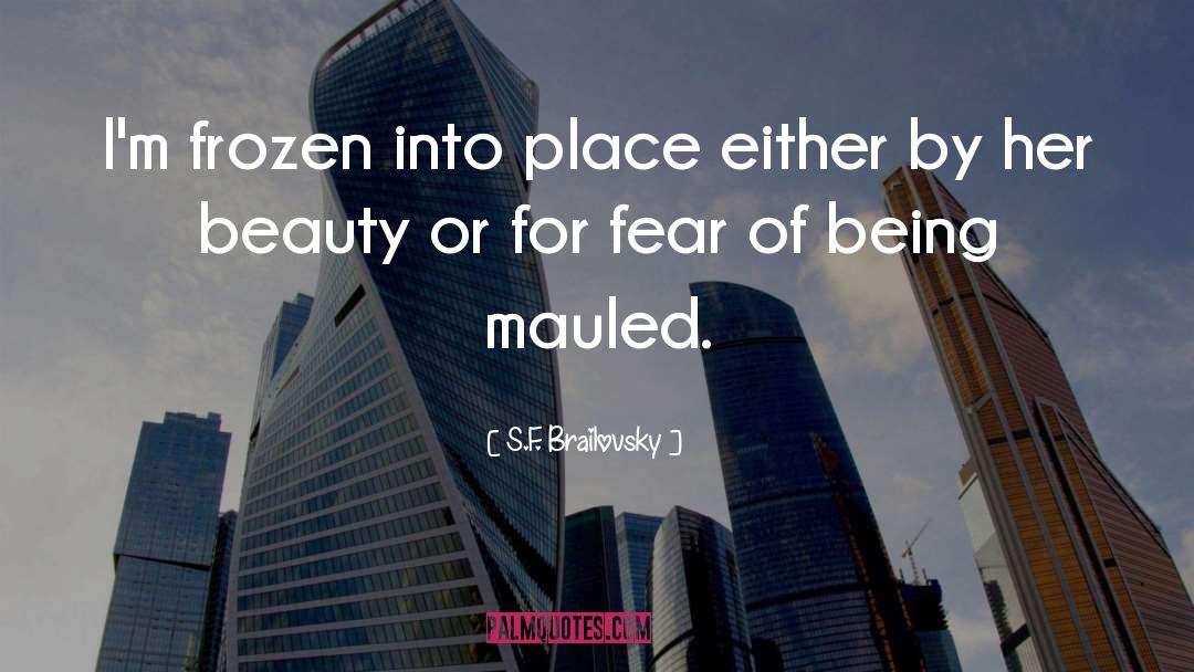 Beauty S Evanescence quotes by S.F. Brailovsky