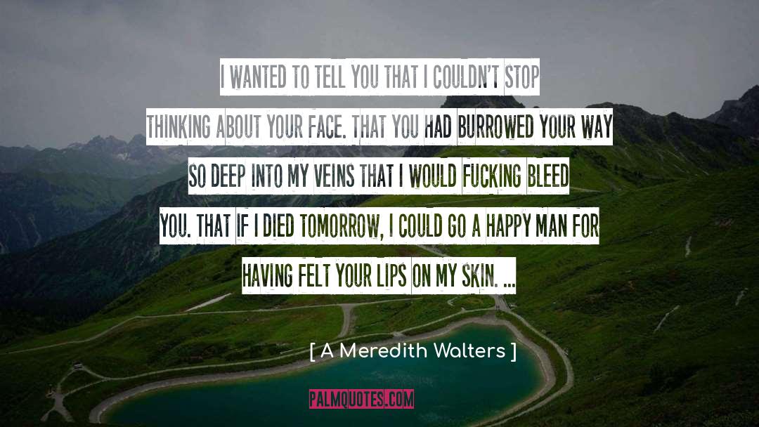 Beauty Skin Deep quotes by A Meredith Walters