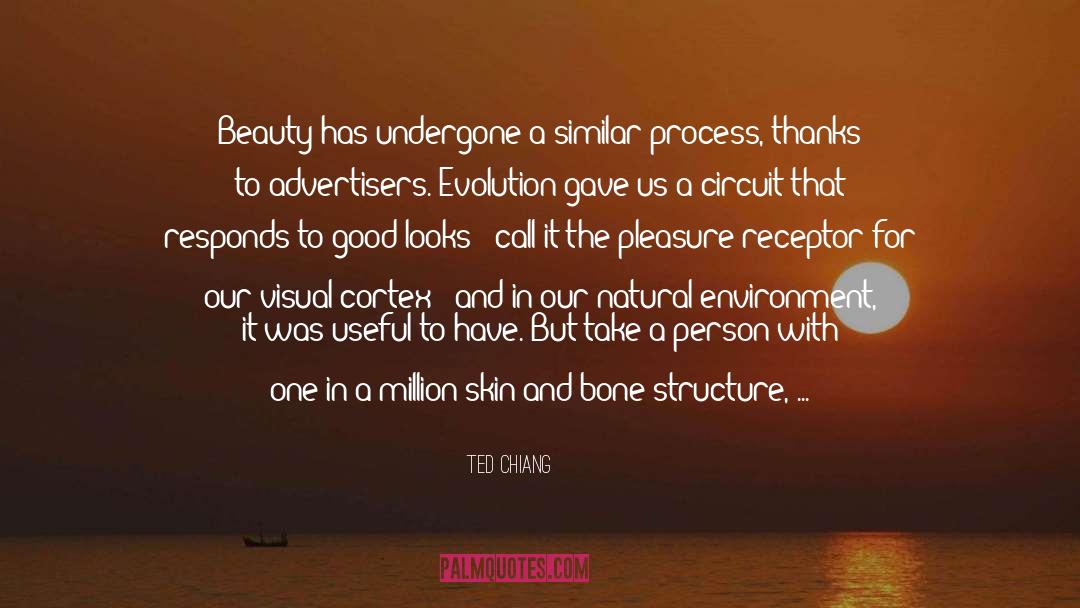 Beauty Skin Deep quotes by Ted Chiang