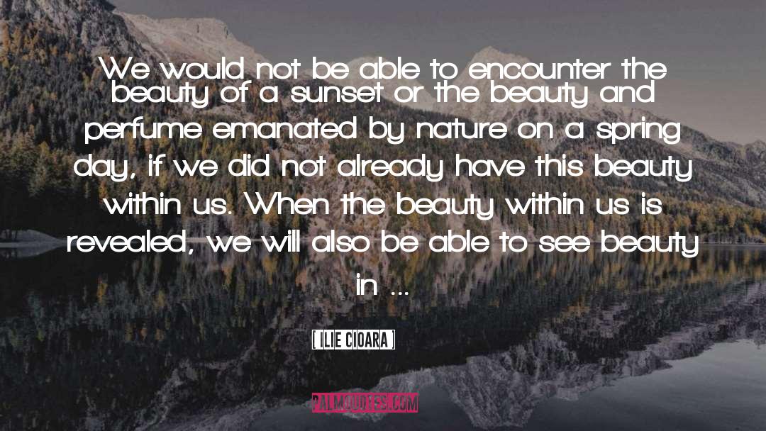 Beauty Within quotes by Ilie Cioara