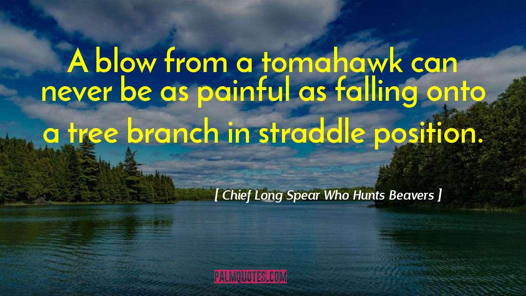 Beavers quotes by Chief Long Spear Who Hunts Beavers