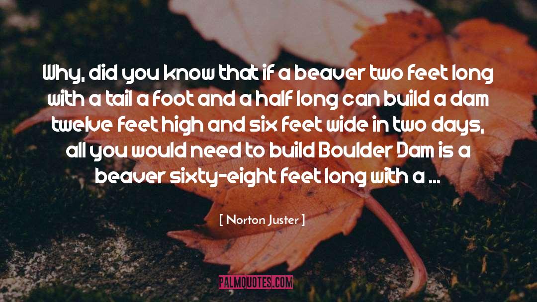 Beavers quotes by Norton Juster