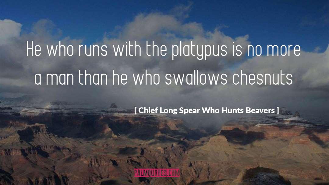 Beavers quotes by Chief Long Spear Who Hunts Beavers