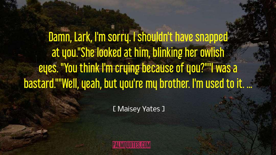 Because Of You quotes by Maisey Yates
