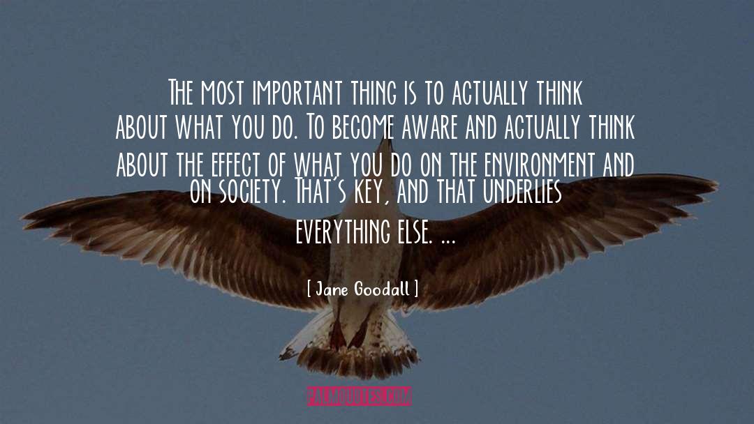 Become Aware quotes by Jane Goodall