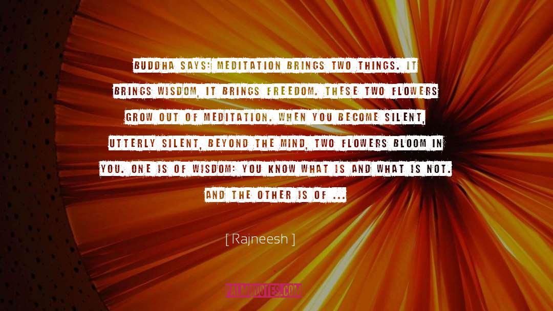 Become Silent quotes by Rajneesh