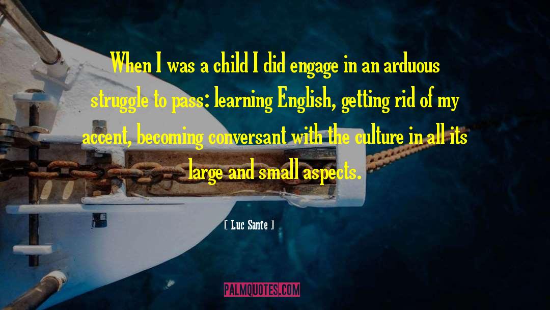 Becoming An Adult quotes by Luc Sante