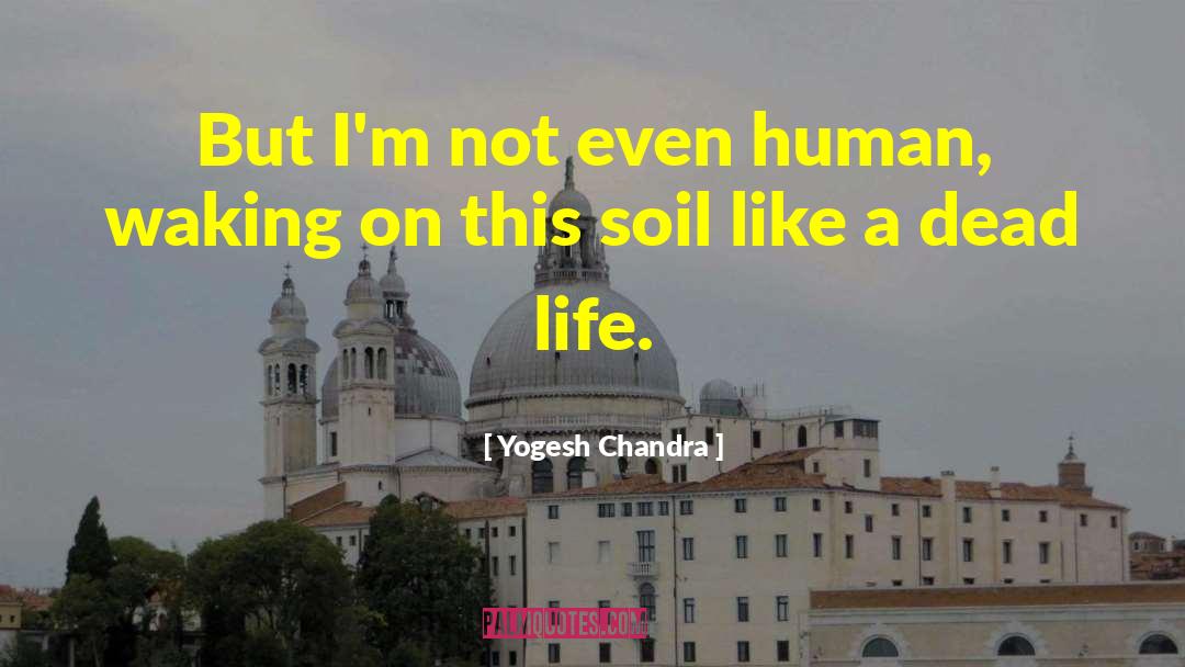 Becoming Human quotes by Yogesh Chandra