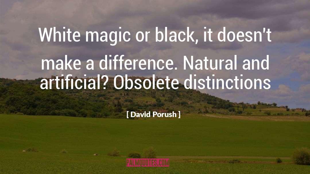 Becoming Obsolete quotes by David Porush