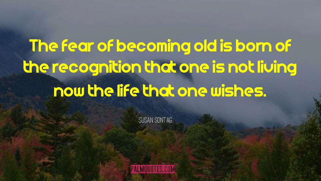 Becoming Old quotes by Susan Sontag