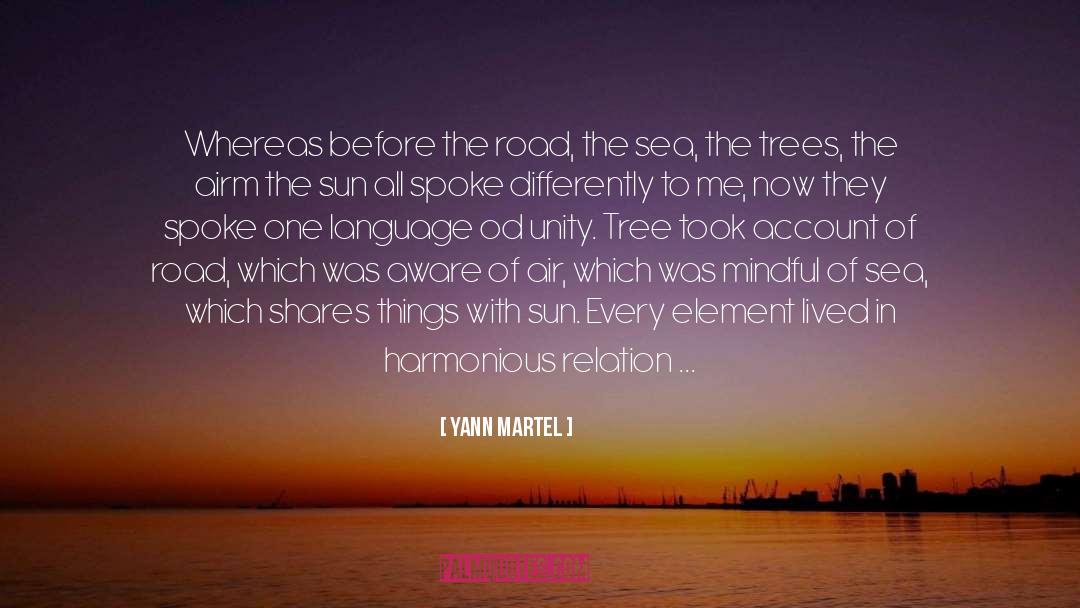 Becoming One With The Universe quotes by Yann Martel