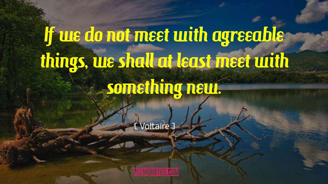 Becoming Something New quotes by Voltaire