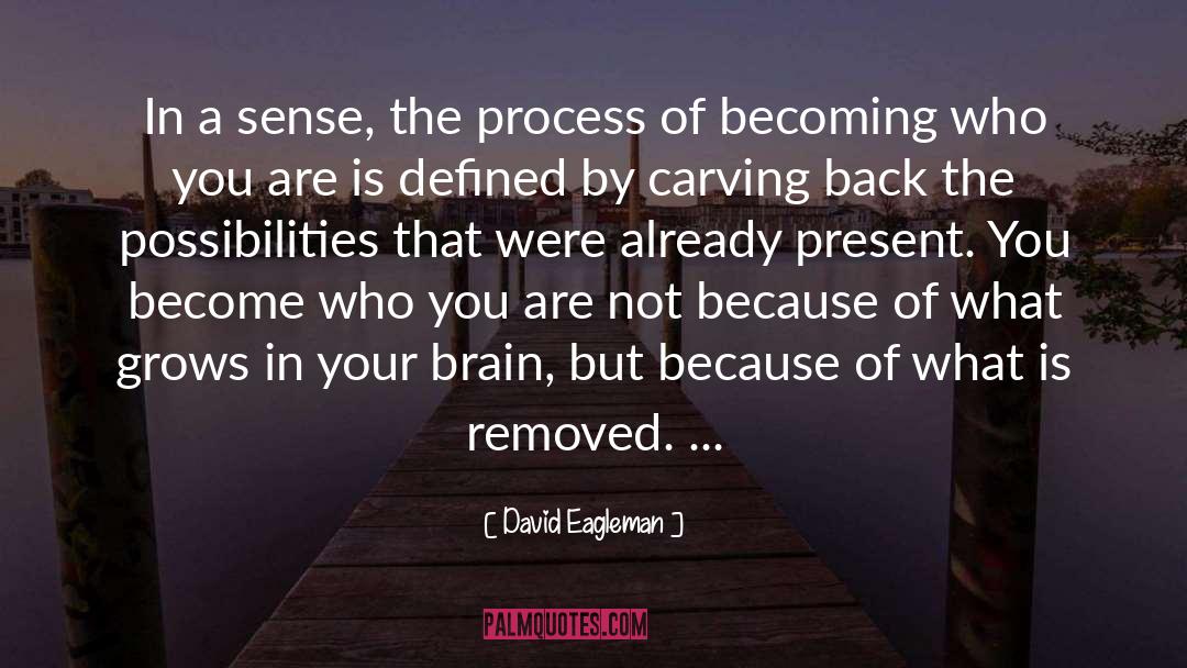 Becoming Who You Are quotes by David Eagleman