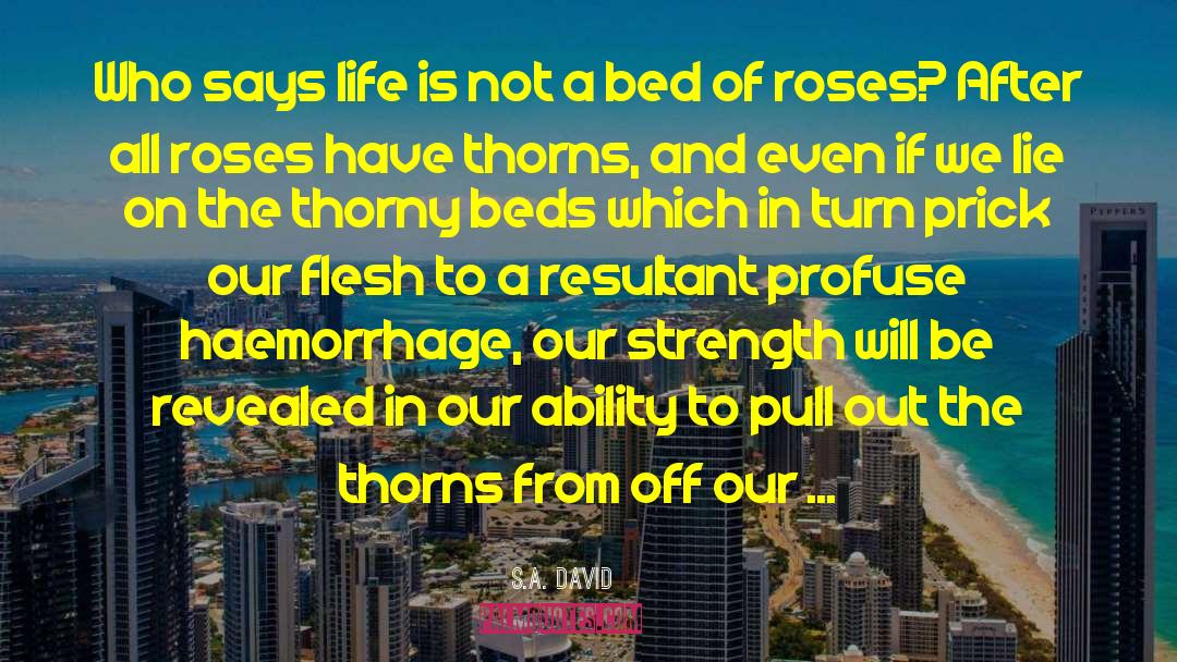 Bed Of Roses quotes by S.A. David